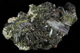 Lustrous Epidote Crystal Cluster on Actinolite - Pakistan #68241-1